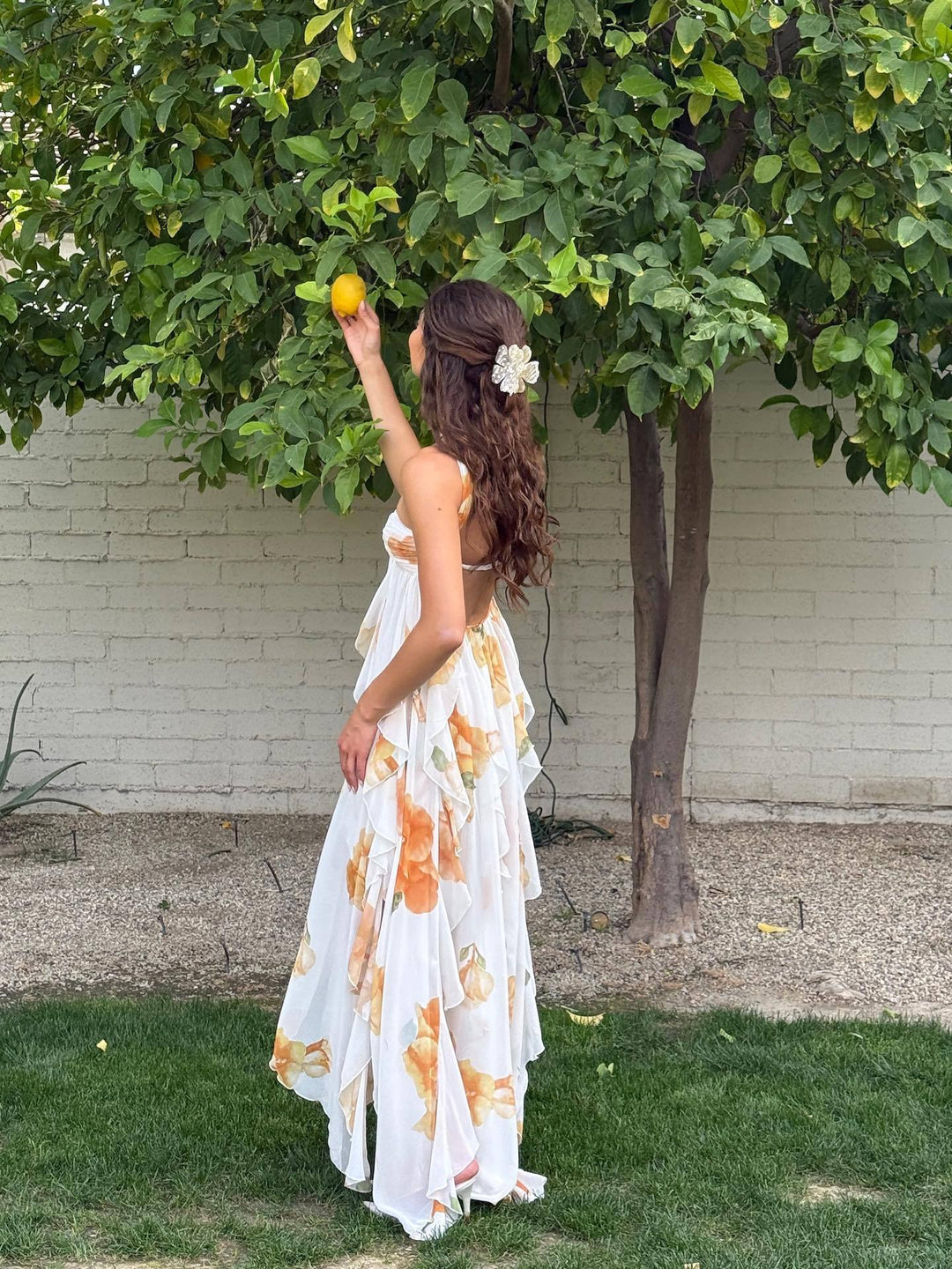 Women's Halter Open Back Maxi Dress