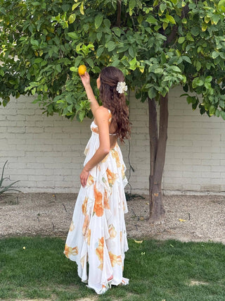Women's Halter Open Back Maxi Dress